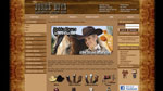 Jones Boys Saddlery and Western Wear Website